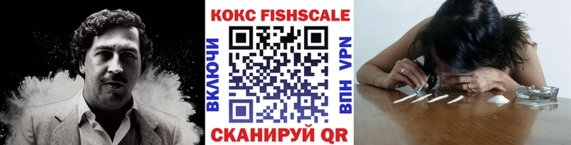 Cocaine FishScale  Ковылкино 