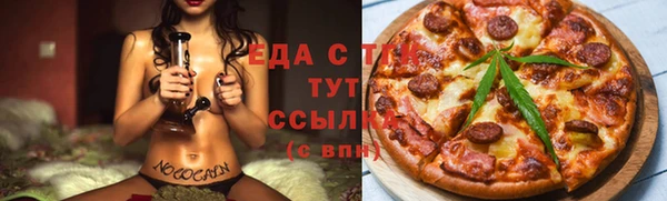 дмт Бородино