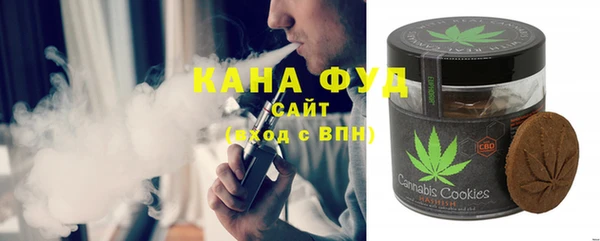 дмт Бородино