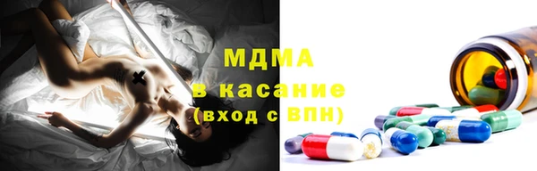 дмт Бородино