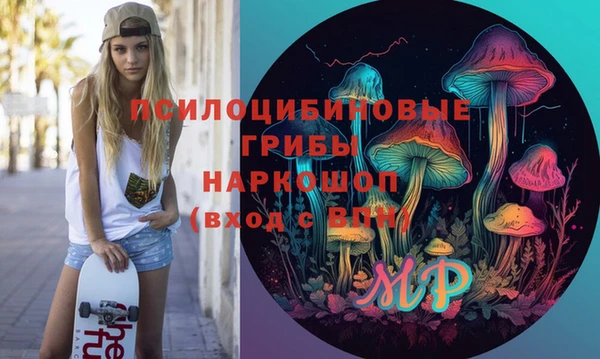 дмт Бородино