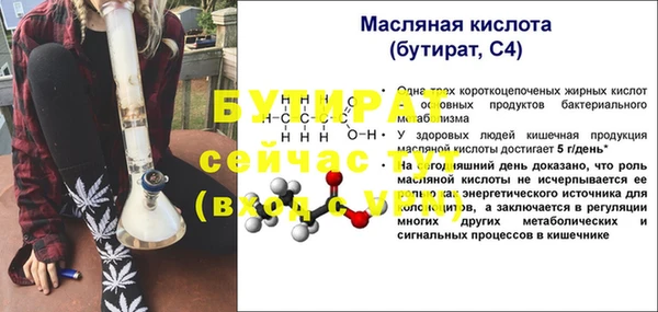 дмт Бородино