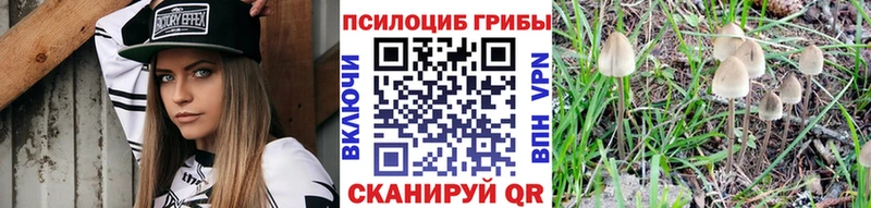 KRAKEN онион  Ковылкино  Галлюциногенные грибы MAGIC MUSHROOMS 